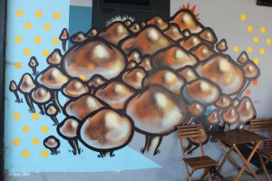 Newtown 1 24 Aug 2013