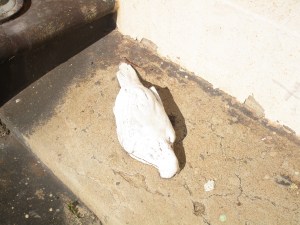 Hickson steps Aug 14 2