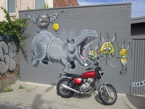 Fitzroy 36