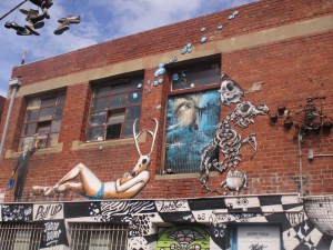 Fitzroy 47