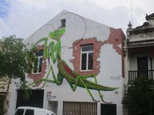 Fitzroy 6
