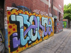 Fitzroy 7